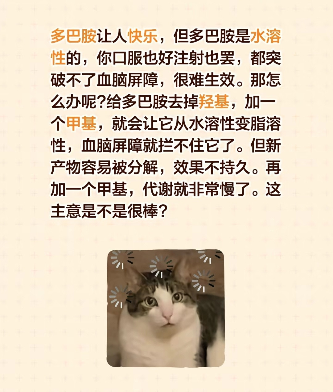 这主意怎么样？