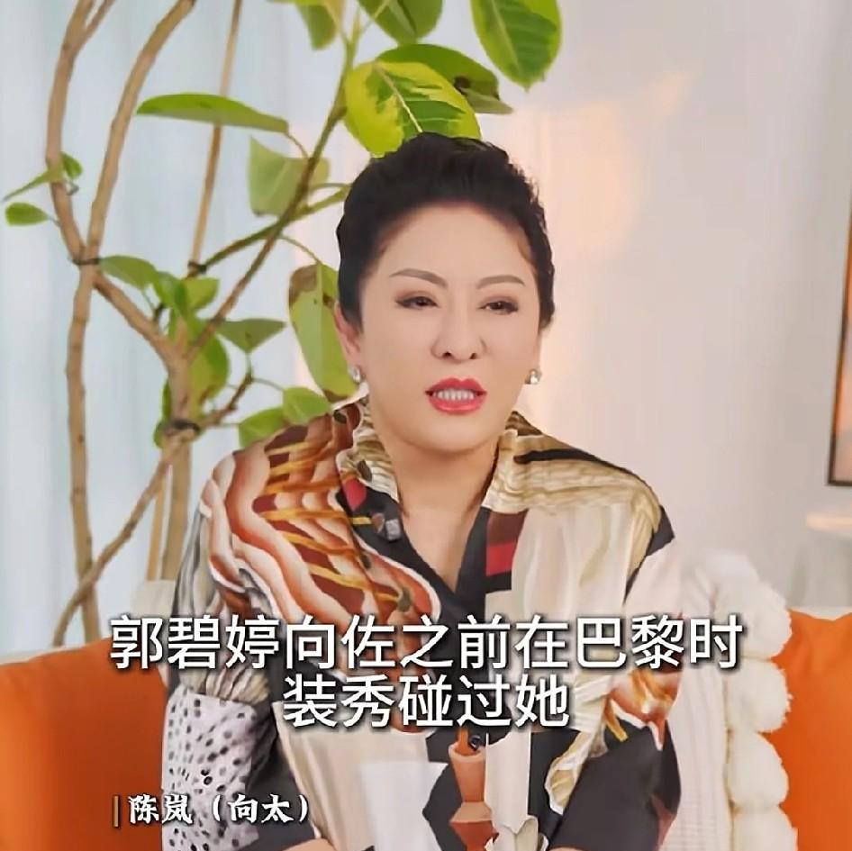 向太：“向佐第一次遇到郭碧婷，是在巴黎时装助，郭碧婷没站稳差点摔倒，被向佐拉起来