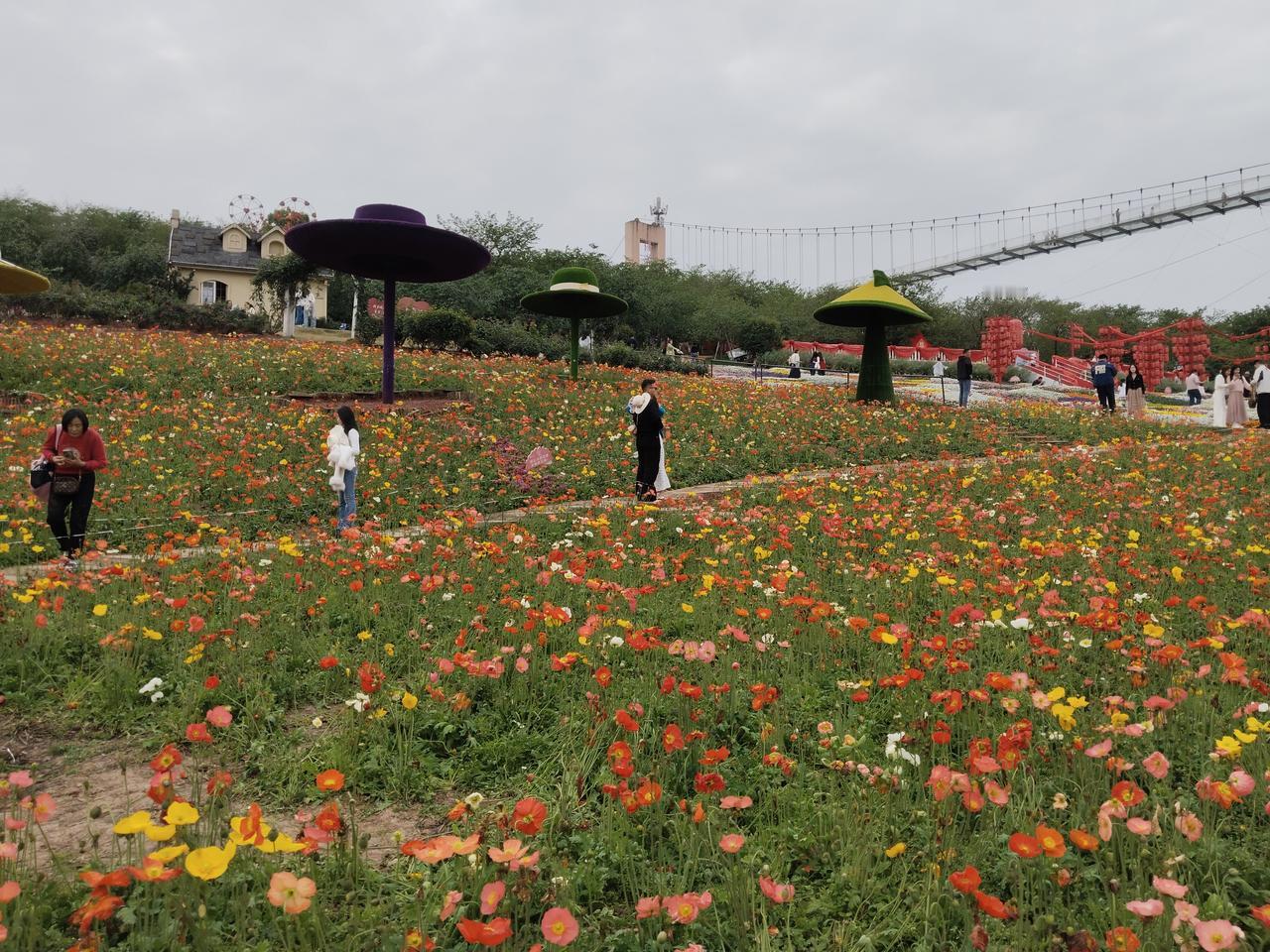 成都·漫花庄园成都漫花庄园四季皆可赏花。漫花庄园拥有600余亩花田，5000