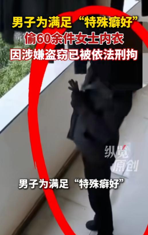 “流氓为何这么多？”6月26日报道，湖南临澧，一男子“爱好”特殊：喜欢女士内衣，