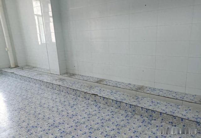 近日，山东一所中学男厕无挡板的事引发热议。厕所蹲位一字排开完全敞开，学生如厕毫无