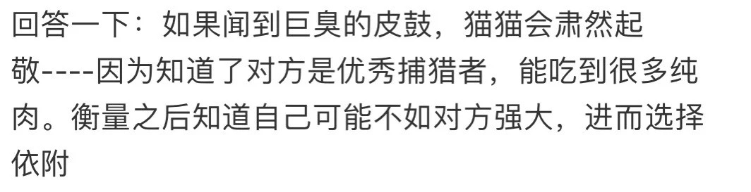 原来在猫咪心里，这个部位越臭越是强者​​​