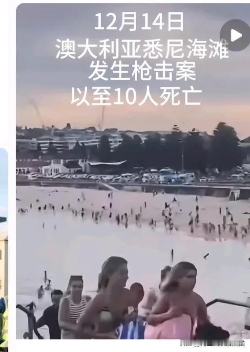 澳大利亚邦迪海滩这起枪击案太可怕了。当地时间14日傍晚，悉尼知名的邦迪滩，一场庆