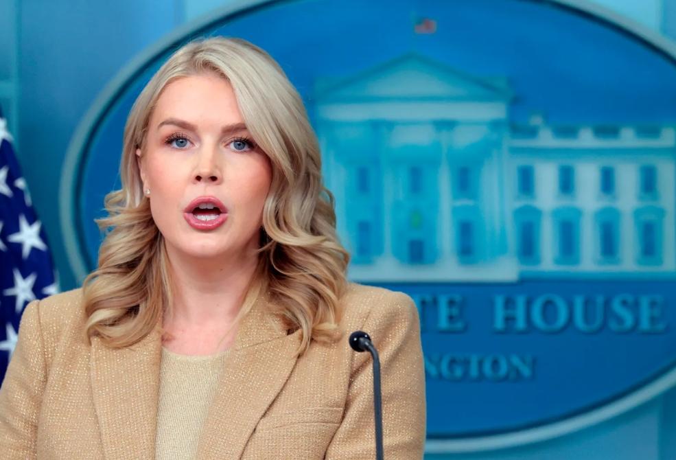 下面这个语速超快的女人，最近家里出了一件事。她哥哥的前妻，被移民执法了。