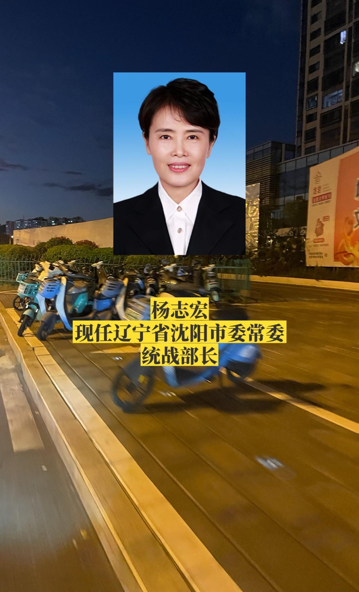 辽宁沈阳市委领导。