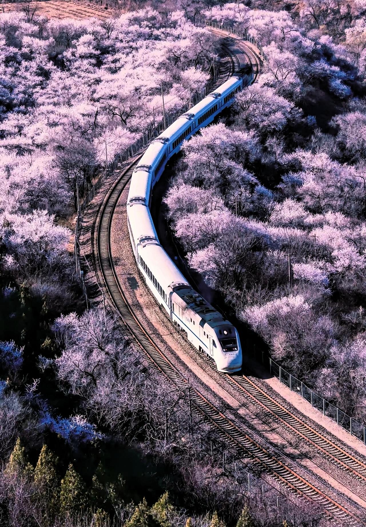 什么是隐私？看完只有沉默！重庆市民政局一退休领导被举报：又是一场因“个人隐私”