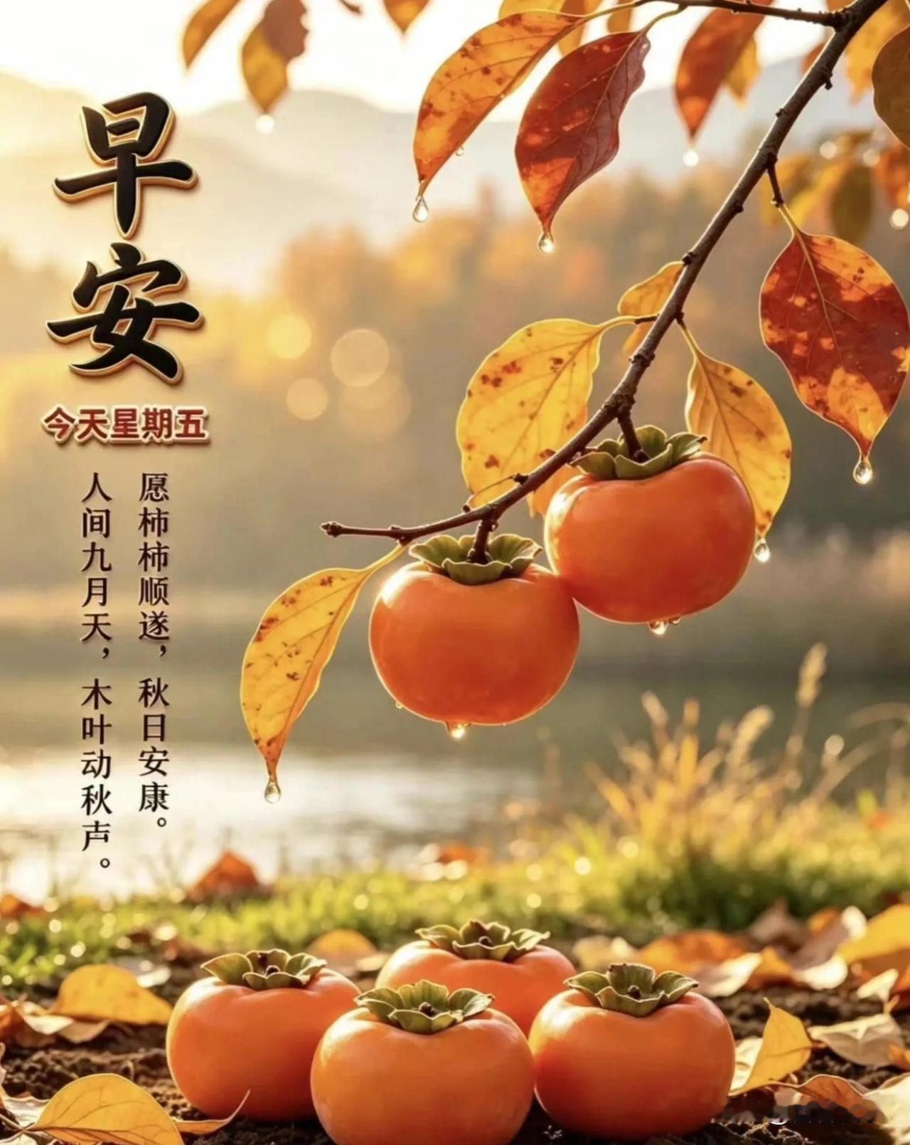 清晨一缕晨光，送来浅浅的吉祥。不求大富大贵，只愿家人平安健康。早安！