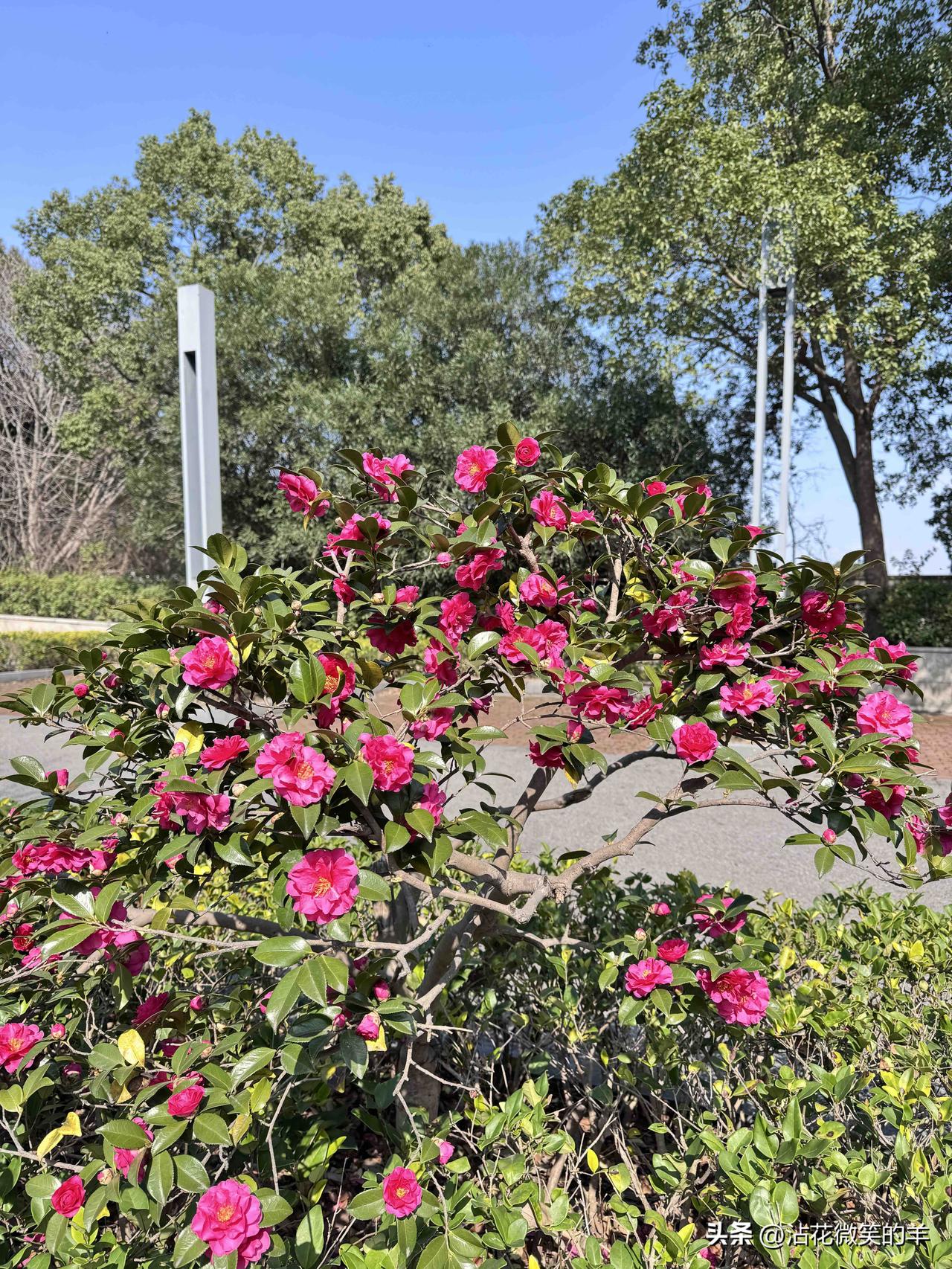 生孩子的意义在哪里？去年底，小学闺蜜的女儿结婚，收到邀请函时，那时段刚好家里