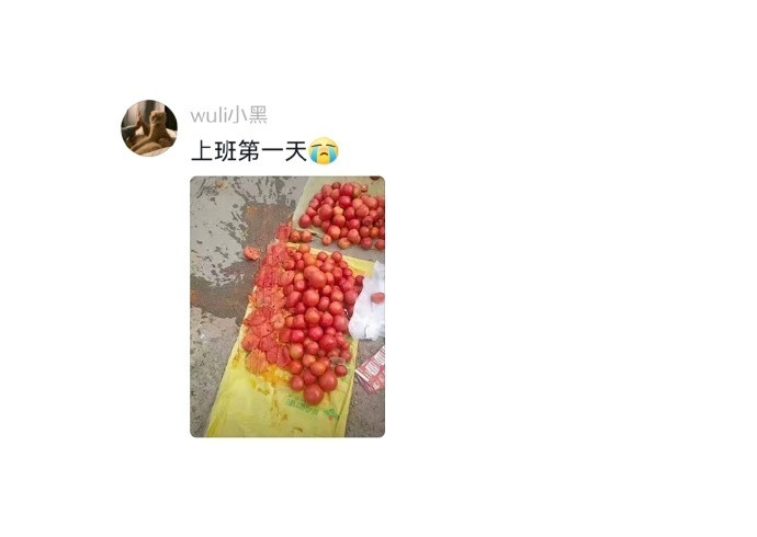 大学找不到暑假工直接创业