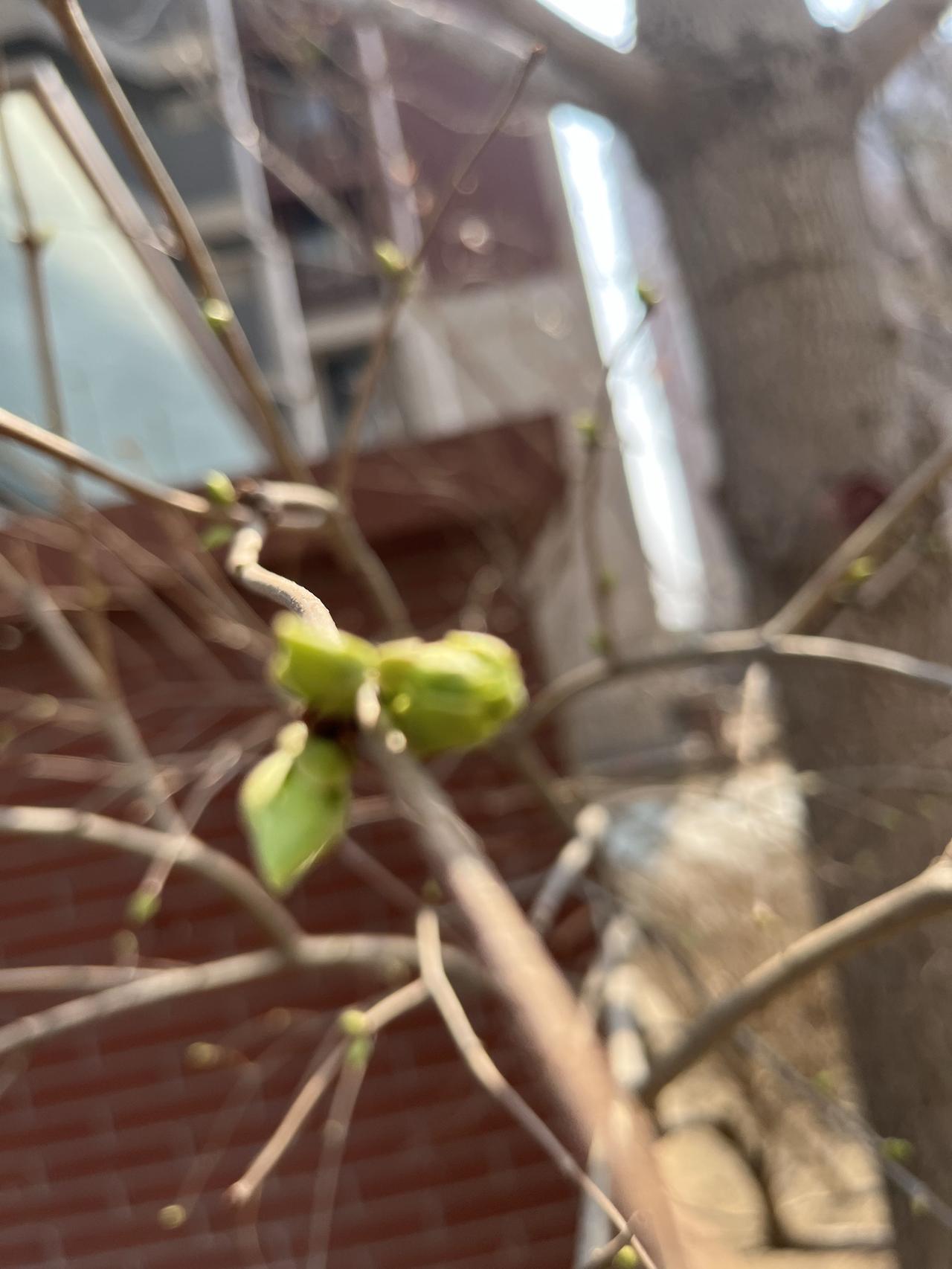 “减少新增供地”，房子会不会一夜之间涨价？昨日，一则消息传遍网络，某两部联合