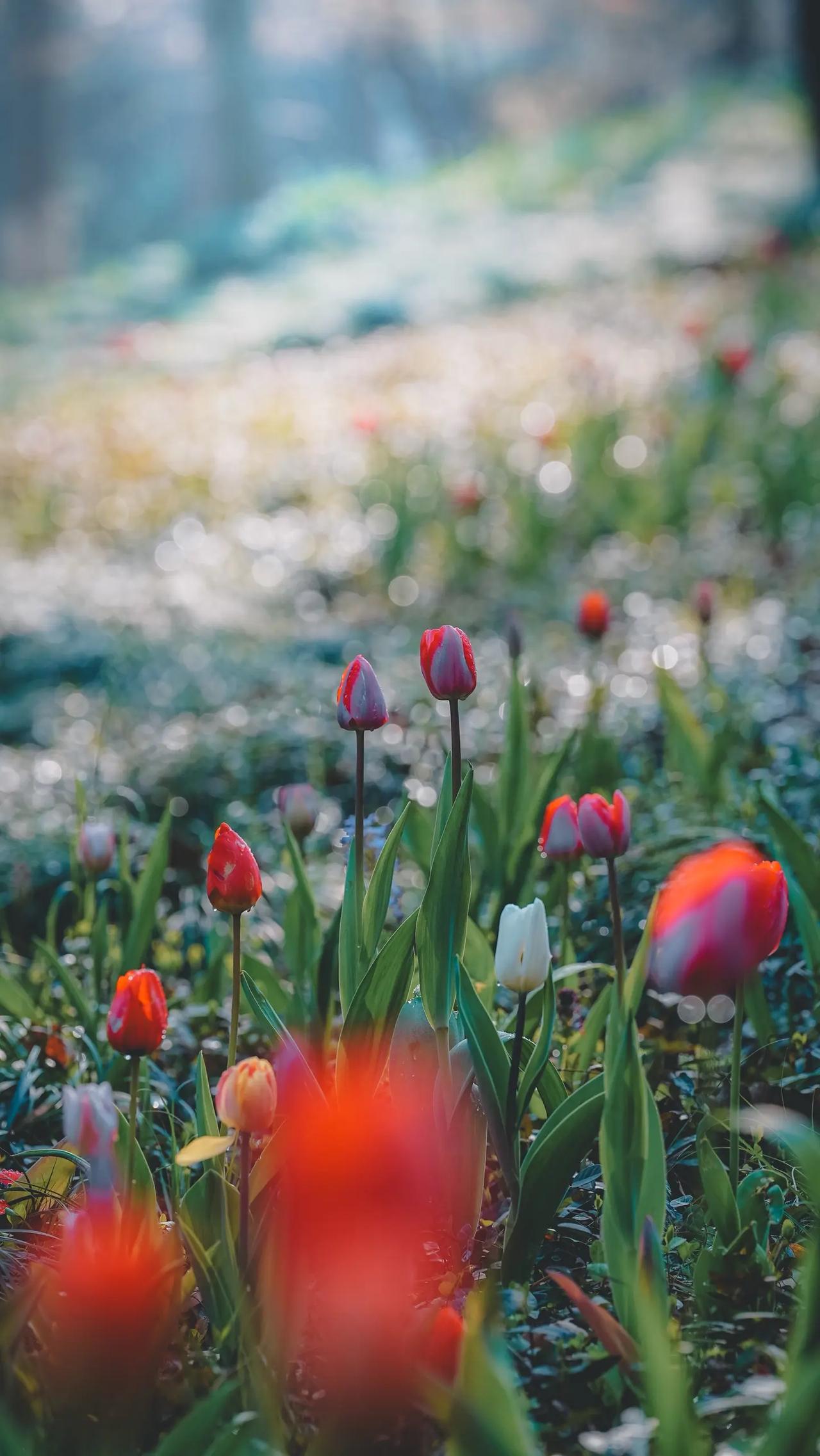 今天接待了一位高三学生，他跟我说时间不够用。实际上并非时间不够，而是你不懂得如何