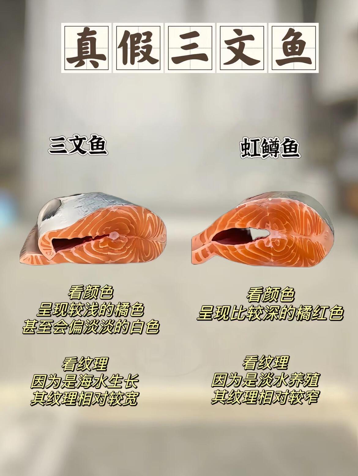 你以为你去吃海鲜自助，猛吃金枪鱼和三文鱼就不会吃亏，但是你想过没有它们为啥在那么