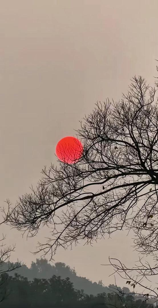 人到中年才发现，老天爷其实很公平的，它从来不会把好运给一个人的。你拿命去爱一个人