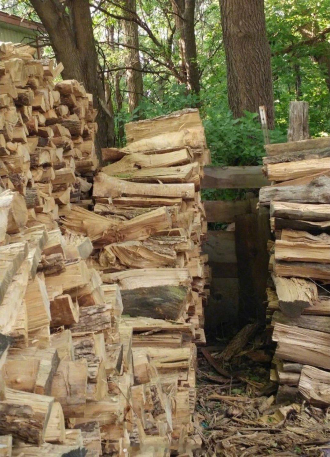 据说图中有只猫，有看出来的朋友们