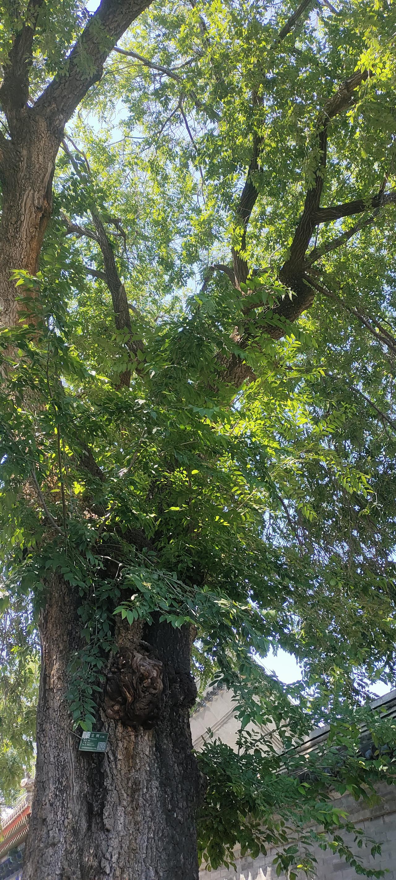 我70后感觉自己人到中年用不了什么钱出门能走路就尽量不坐公交地铁也