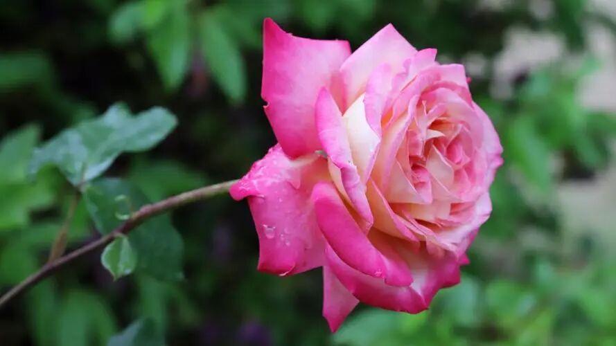 一个男人跟你在一起的时候，你看他是不是真心爱你，是不是一个靠谱的人，那么最直接的