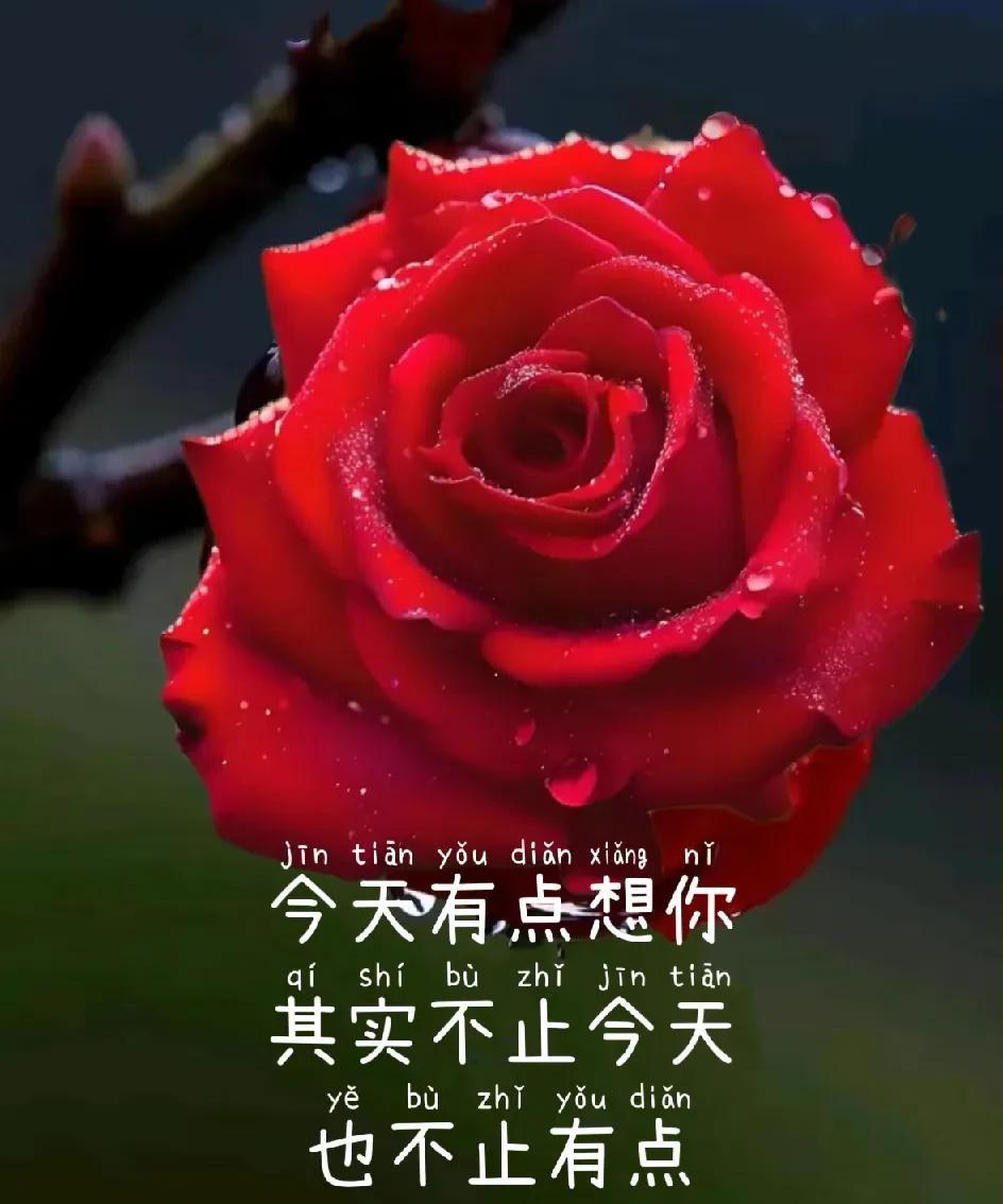 却不能在一起，想你，却不能去看你。一生眷恋，满腔深情，都是只为你，这一