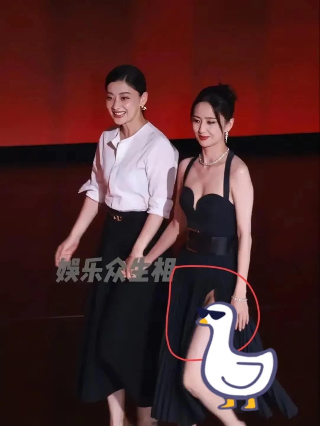 真的没人敢说佟丽娅吗佟丽娅为什么会输给梅婷了根本不是容貌，也不是年龄，而是这