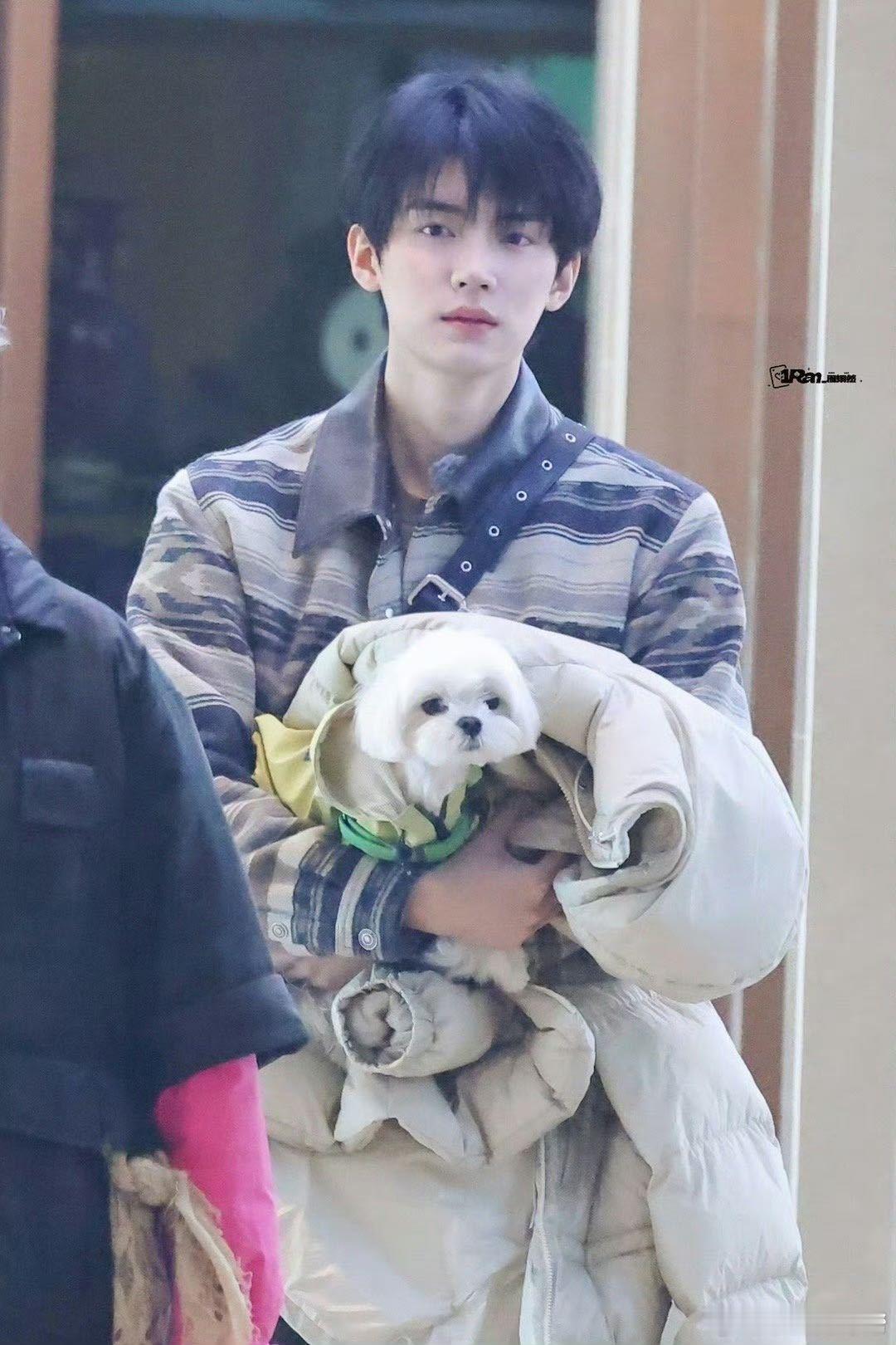 周翊然周翊然的小狗俘获了孟子义家人们，抱着两只狗狗好可爱😍两只兵帮忙