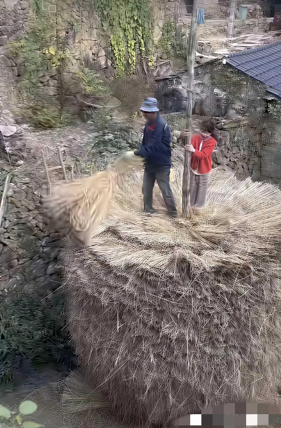 这根木头起到了什么作用?