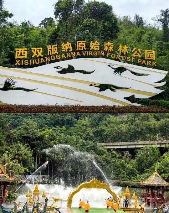 西双版纳3日自驾！原始森林公园太治愈了一直想躲开人挤人的告庄，去感受版纳的自然