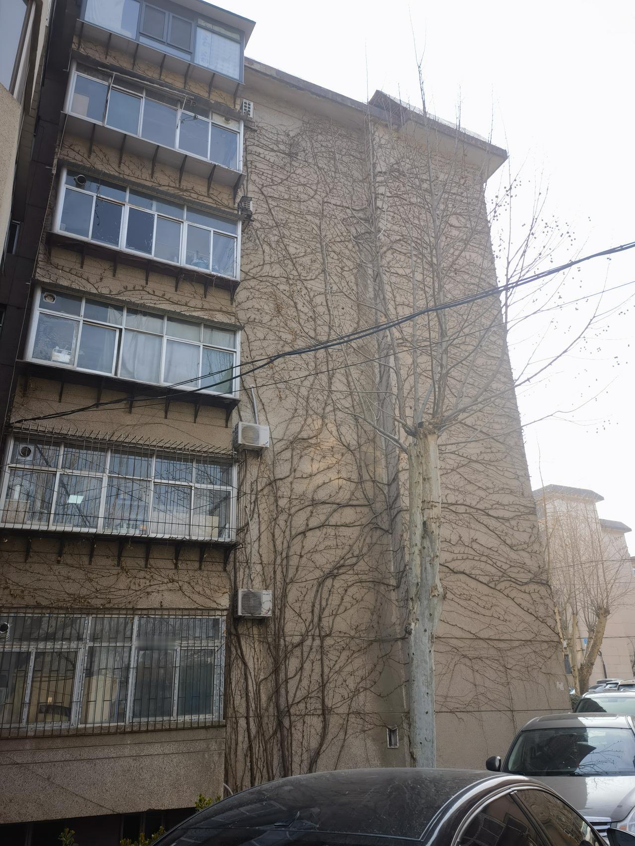 原拆原建--老破小的凤凰涅槃(济南舜耕路38号院蝶变记)，这是作为山财大舜耕路教