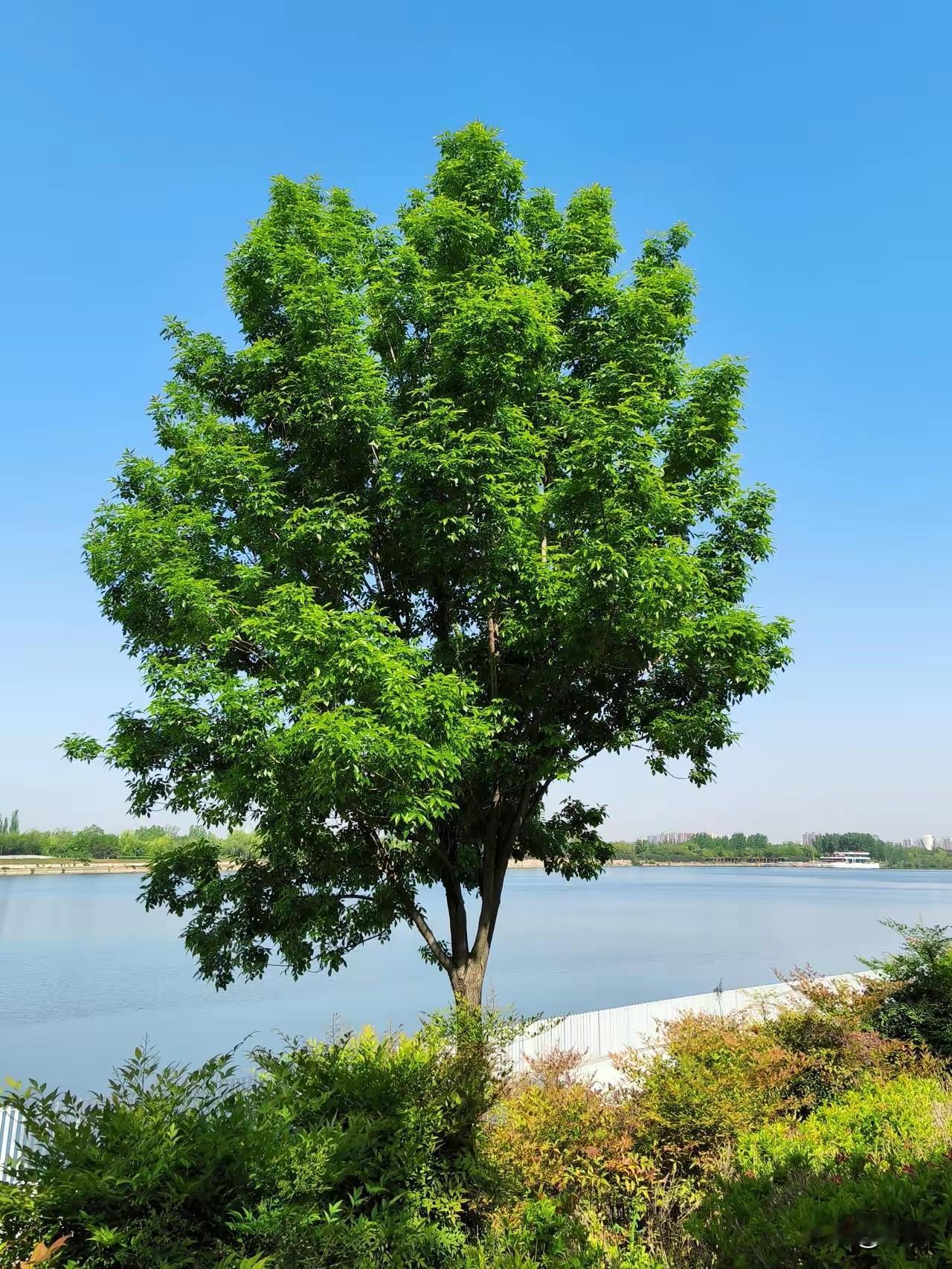 少生气的智慧一、先想通3个真相，气自然消一半1. 生气，是拿别人的错