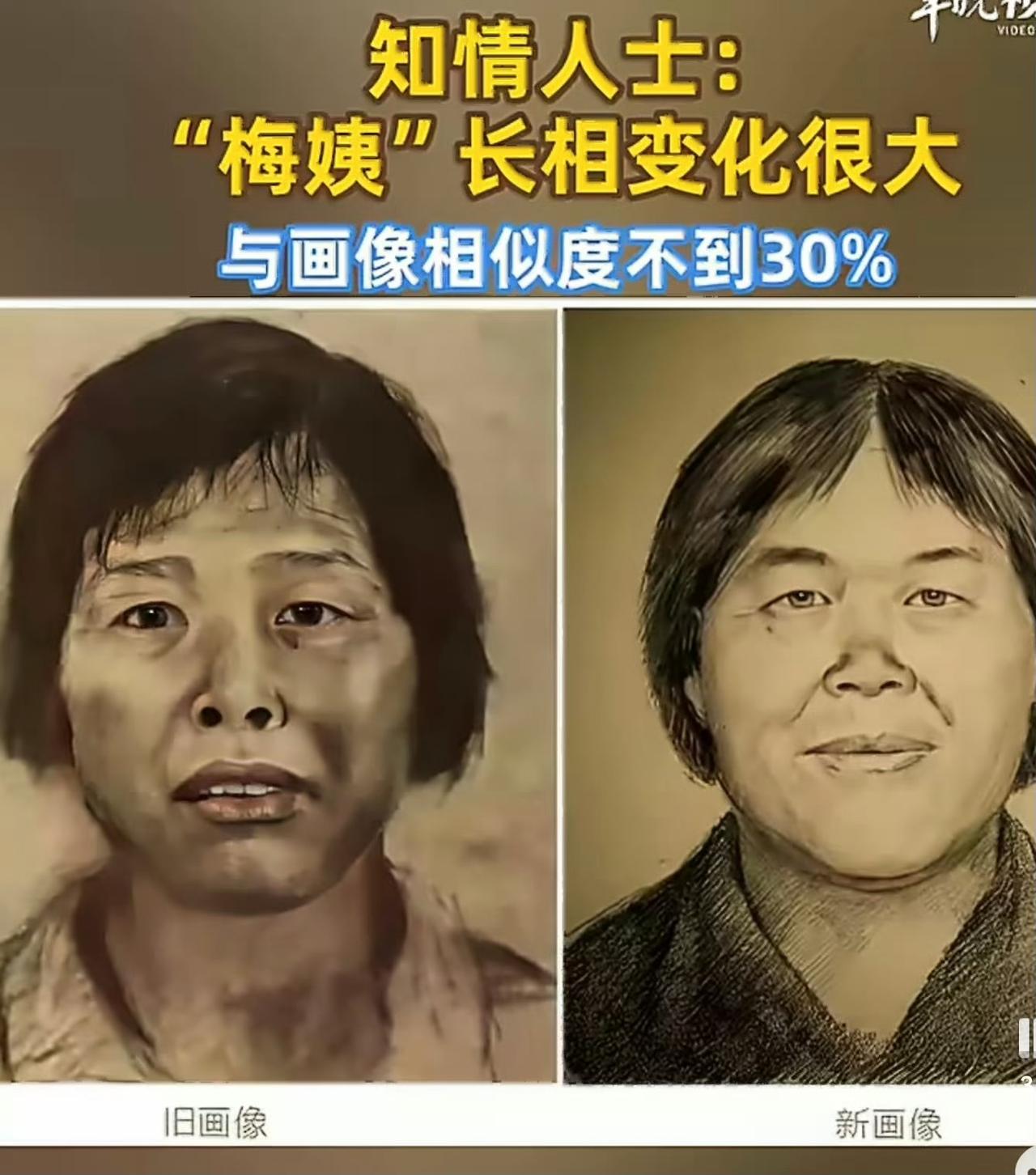 世界正在越来越美好！3月21日，广州警方对媒体披露，“梅姨”已被抓获。“梅