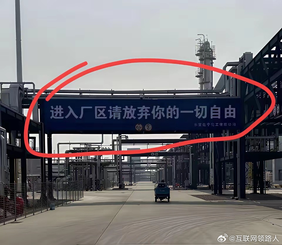 友友们，看到这条标语，你们心里有啥感悟不？