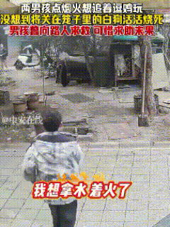 教训太大了！江苏连云港，两名男孩拿着烟火追鸡取乐，玩闹间，突然把点燃的烟火凑向旁