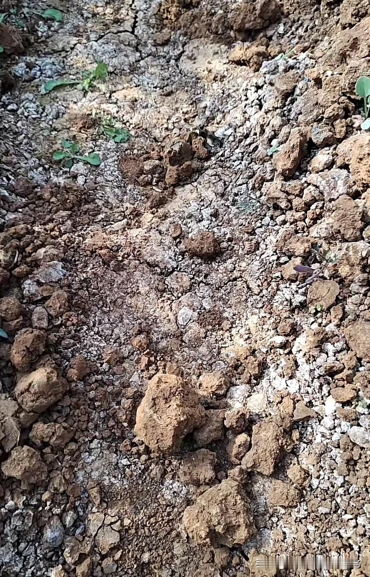 农村发展如今面貌大变，路通了、环境美了、产业也多了，但要真正实现可持续振兴、让农