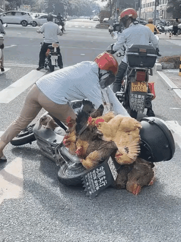 这就是电动车存在的意义！实现了全民贫富均权！电动自行车不愧是一款划时代的交通工