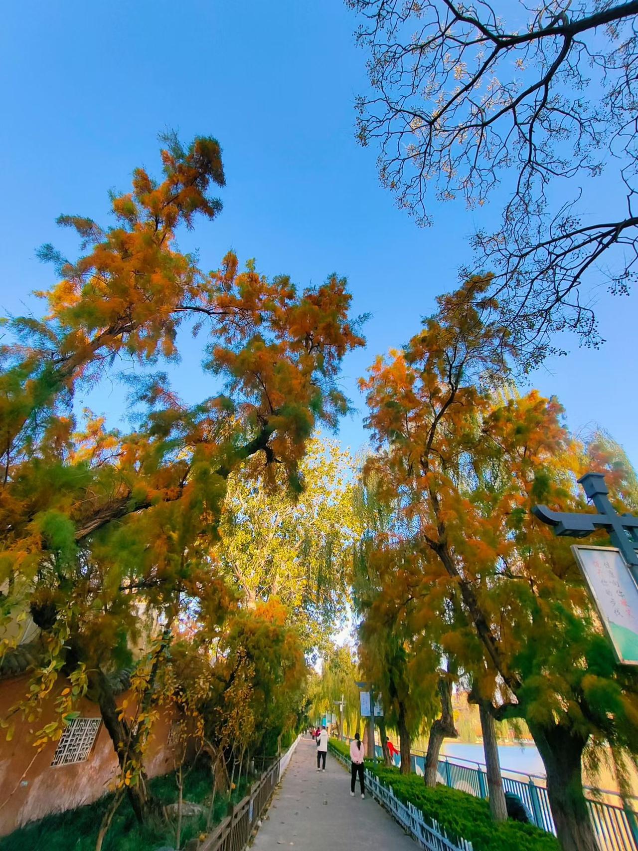 不用总盯着别人的生活攀比，珍惜自己身边的小美好，家人平安、三餐温饱，身边有聊得来