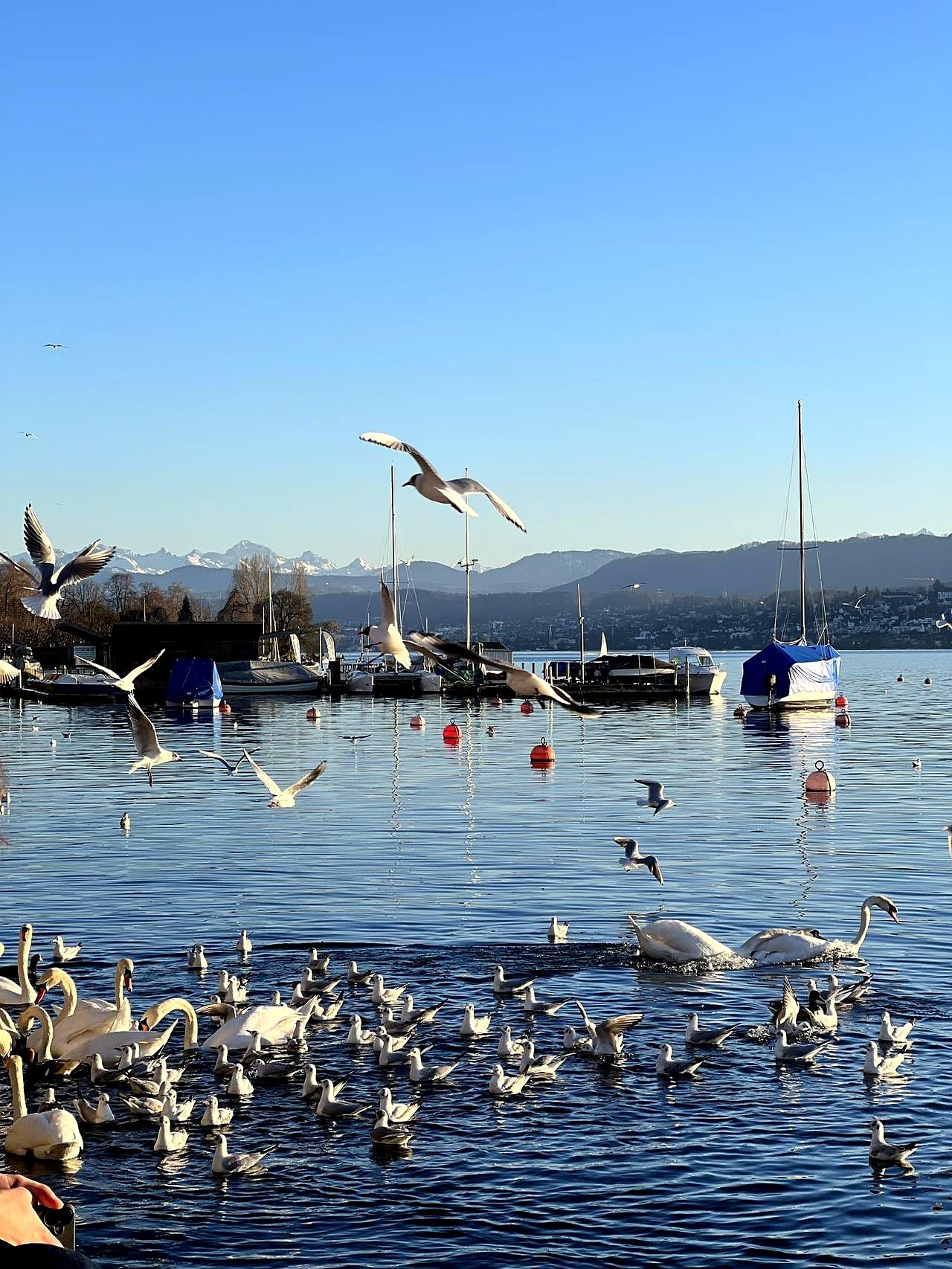 我认识的一位女老师，38岁，保养得不错，离异有个儿子跟了前夫。最近朋友给她介绍