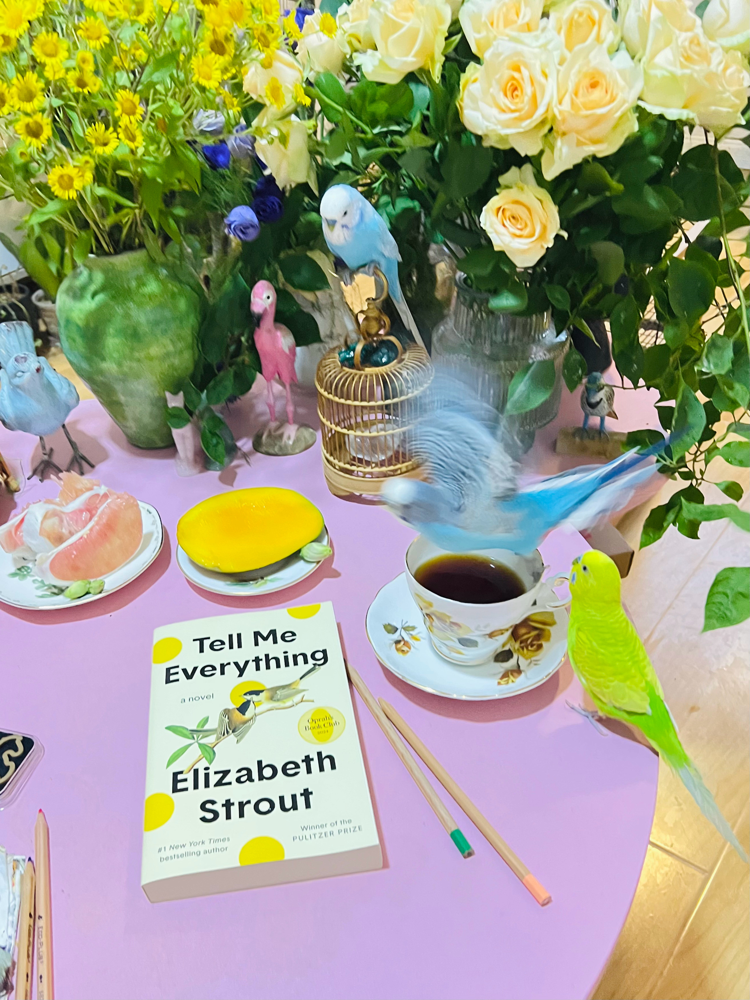 秋季下午茶☕️🦜🌼我家那些鸟事儿