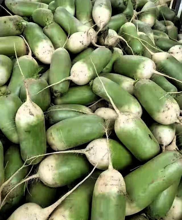 这萝卜以后我都不敢再买了。不是都说冬吃萝卜夏吃姜，白萝卜明明是冬日里的家常好