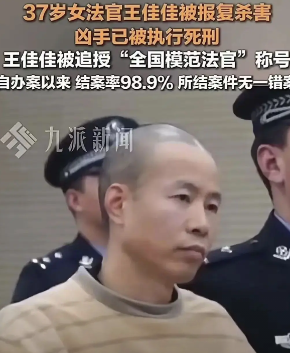 这个杀害王佳佳法官的犯罪人终于绳之以法，走上了刑场，结束了他一时冲动杀人犯下的罪