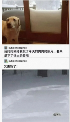 看来下了很大的雪