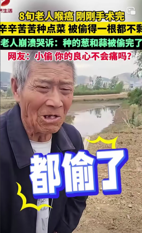 良心不痛吗？安徽凤阳，八旬老人刚做完喉癌手术，在家闲不住种了一块菜，结果第二天早