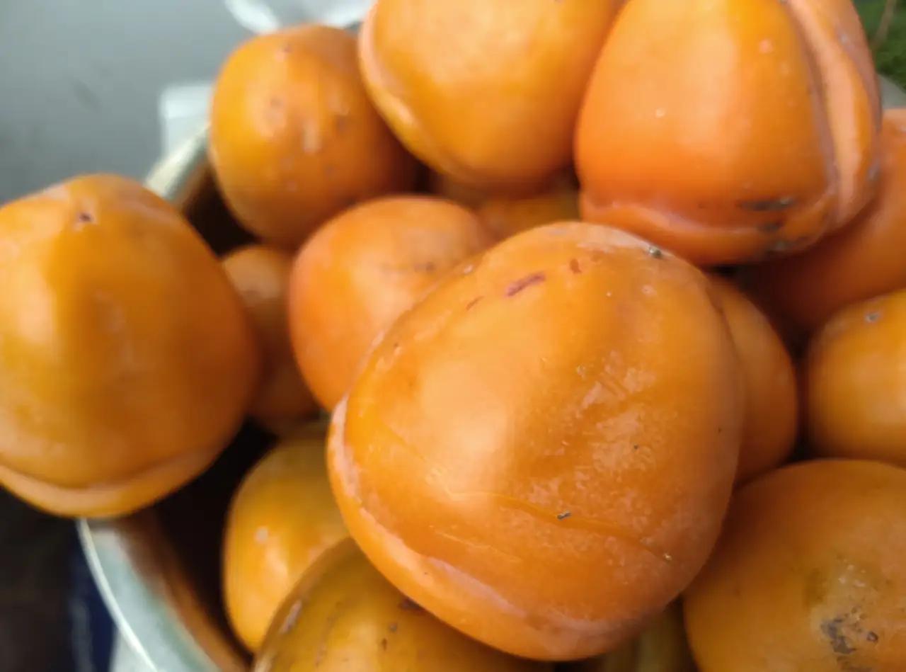 吃柿子十大禁忌：1.忌空腹食用原因：空腹时胃酸浓度高，鞣酸与胃酸、蛋白质结