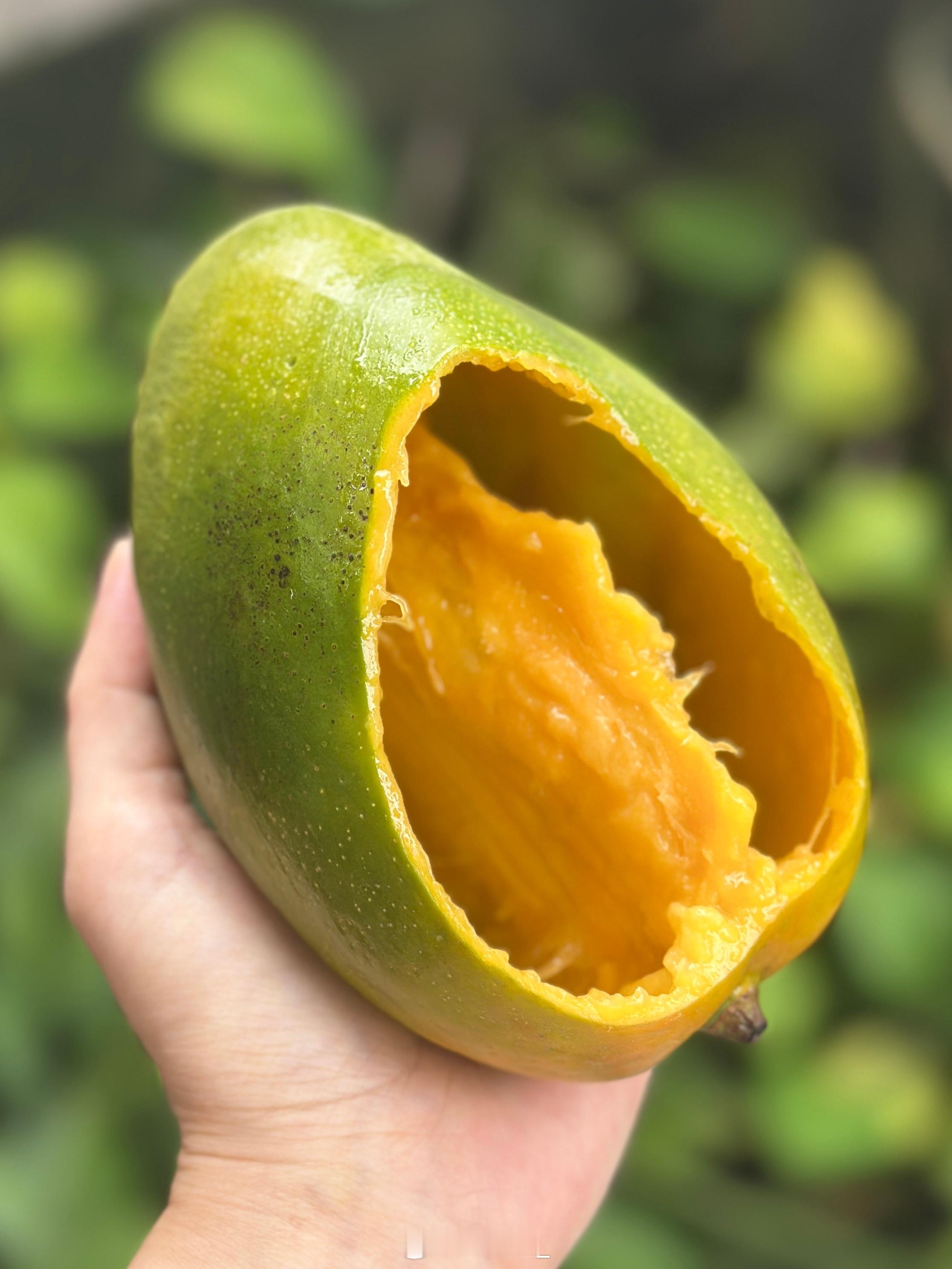 不脏手吃芒果技能get🥭吃芒果的正确打开方式喜提一只芒果鞋​​​