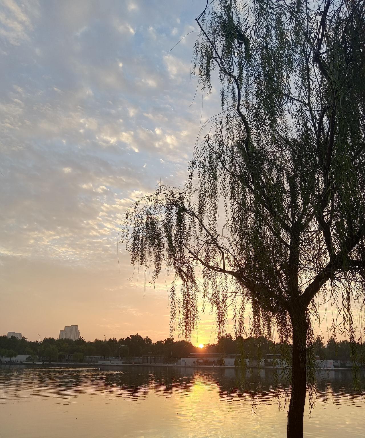 #下联：如今菊色烟，求上联#上联：旧日桂香云。