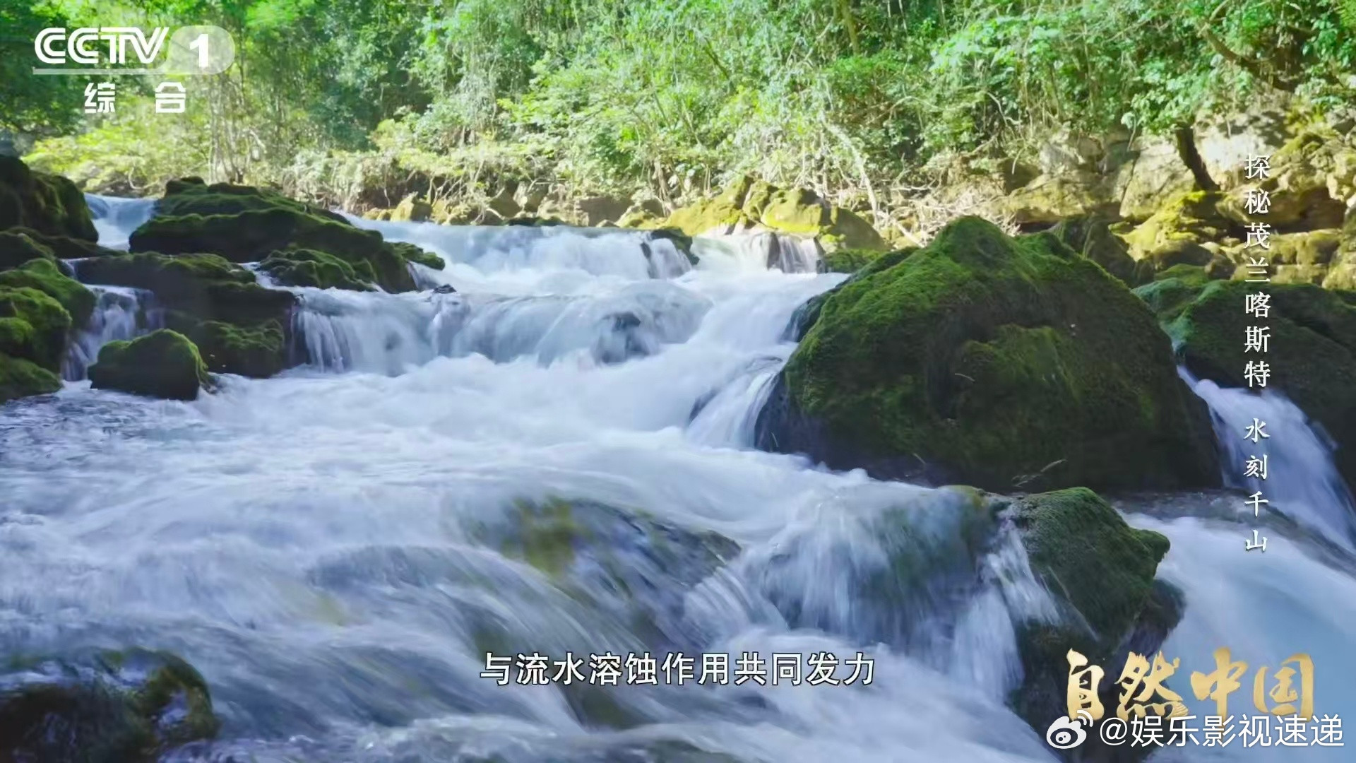 原来贵州曾是大海贵州山顶发现亿万年前珊瑚化石站在贵州的山顶看着群山起伏，想象着