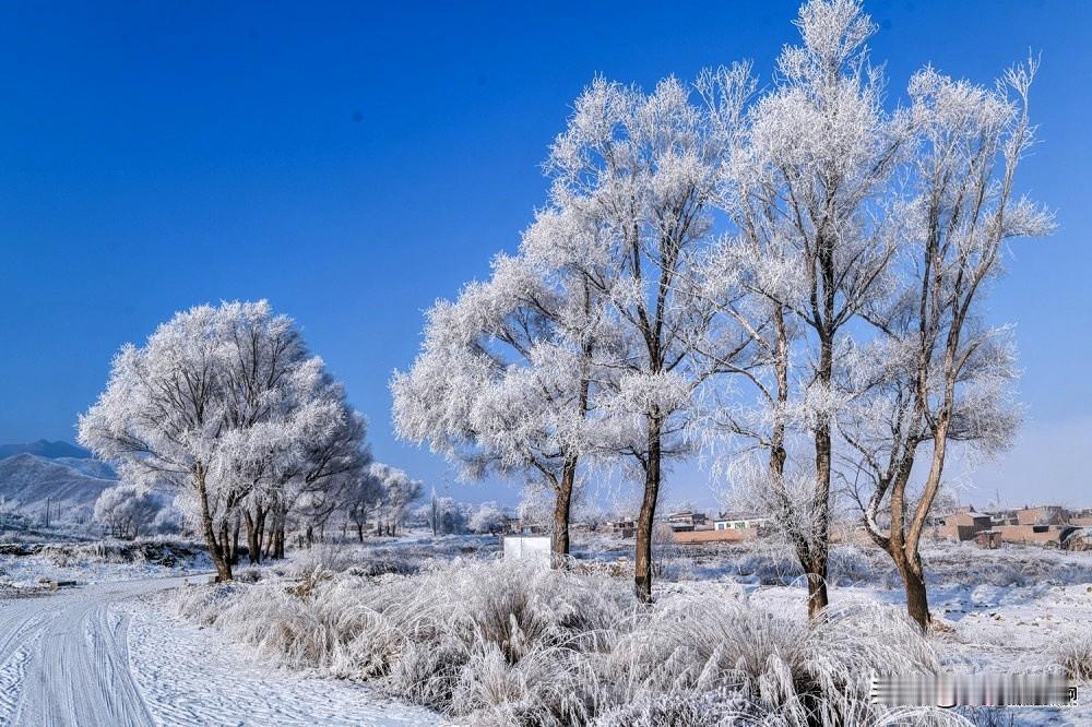 春生：早睡早起，广步于庭，饮食增辛减酸；夏长：晚睡早起，无厌于日，饮食增苦减辛