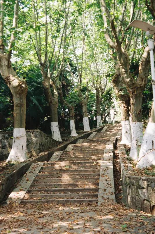 2025年这场围绕“首席科学家”郭伟学术造假的风波闹得沸沸扬扬。郭伟对外头衔众多