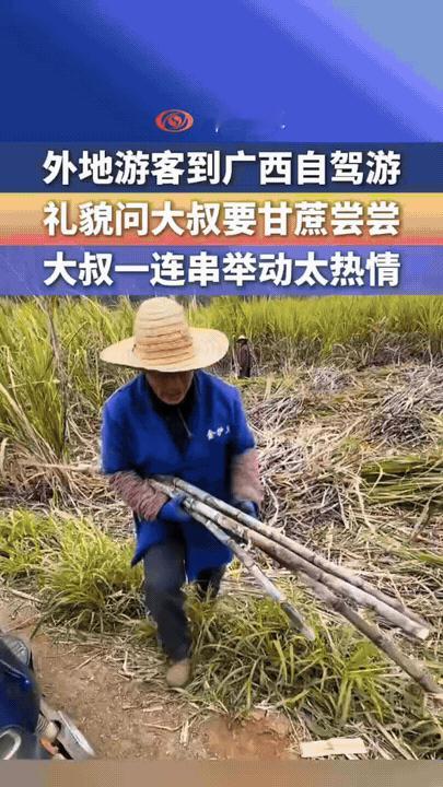 万万没有想到，外省一男子自驾游到广西，期间经过一片甘蔗地时，看到当地村民正在砍甘