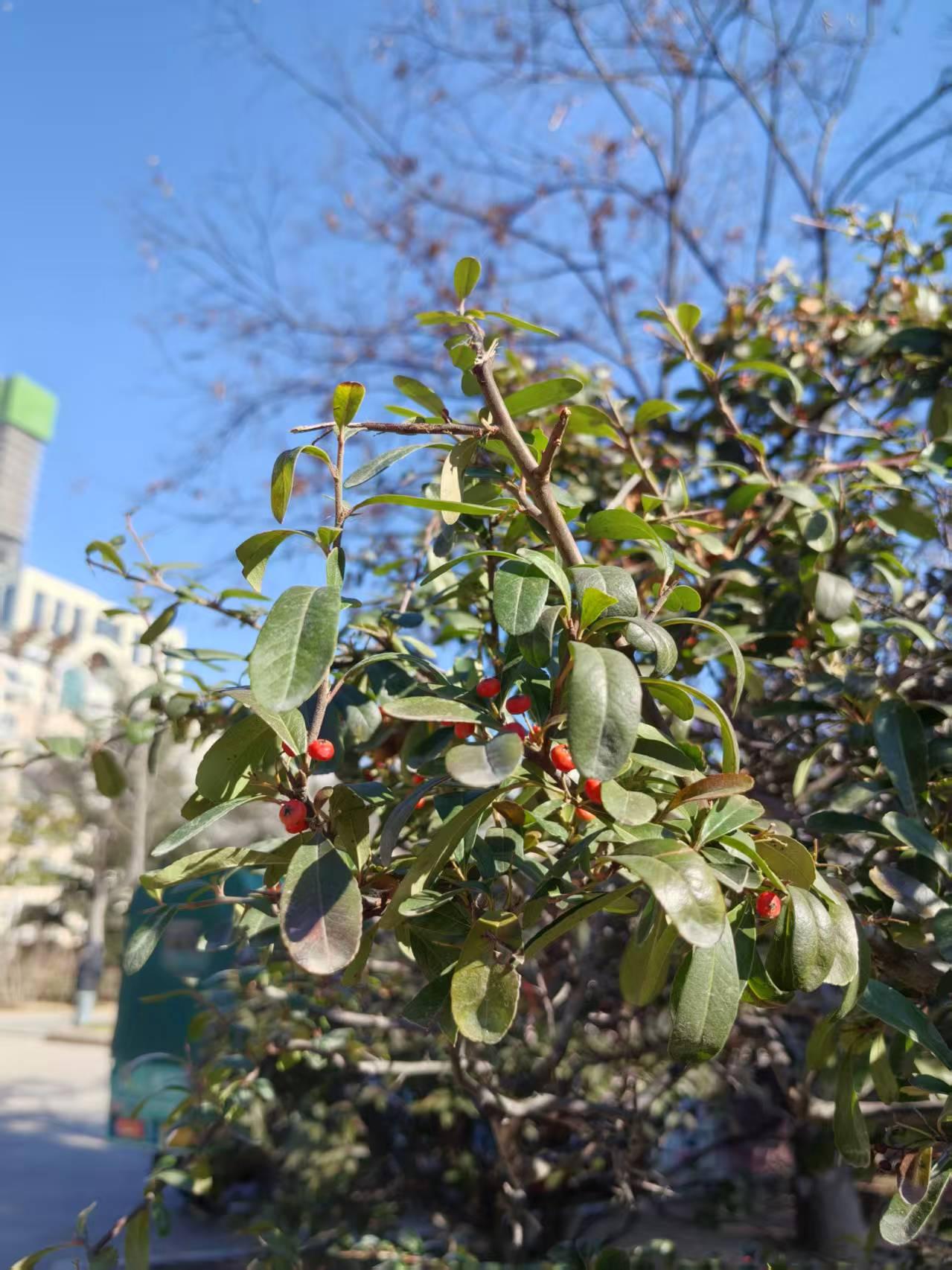 一直期待着退休的美好心情，被邻居大姐无情的碾压的稀碎。今天早晨出门的时候七点