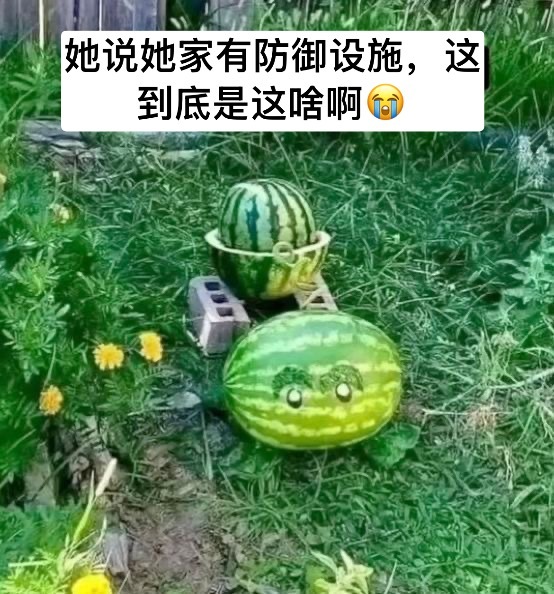 那很安全了meme​​​