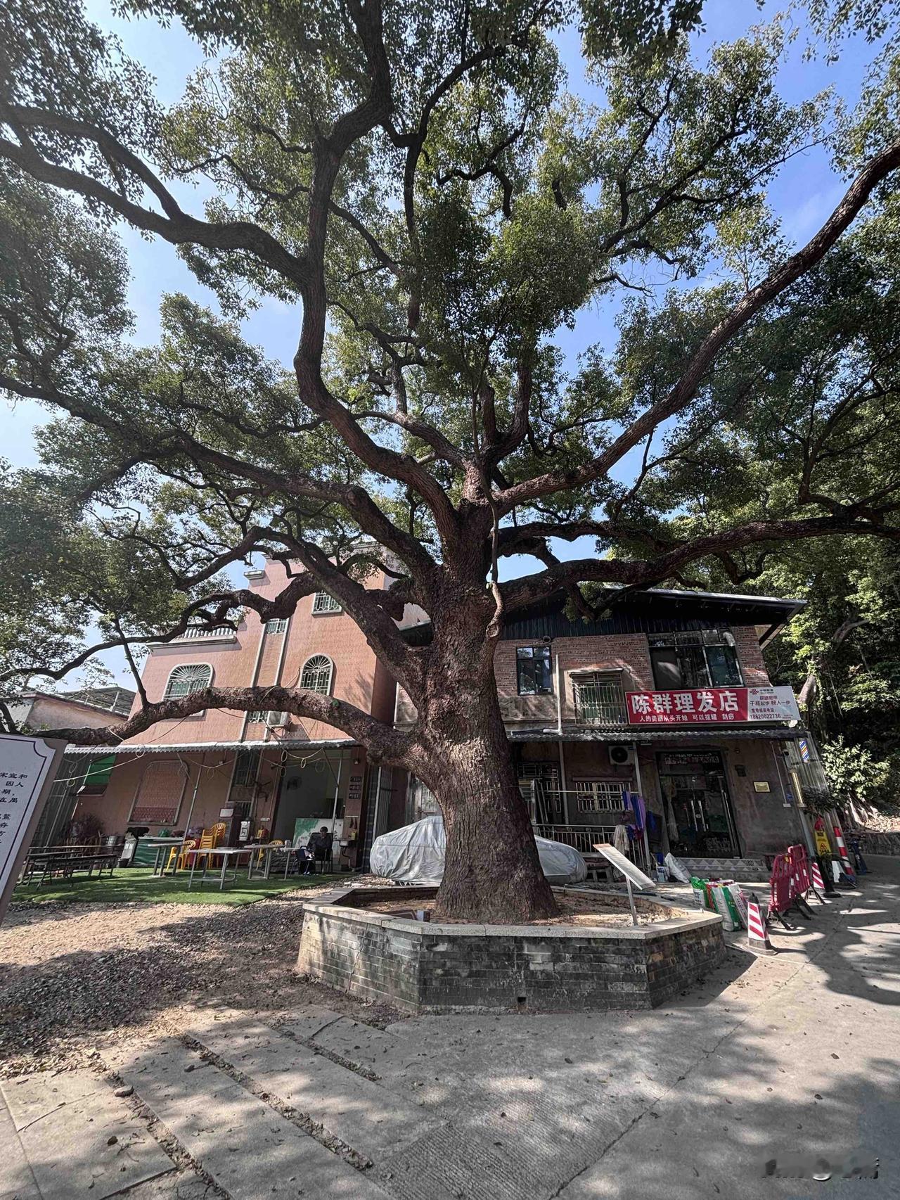 忽然想起有一个朋友，去年儿子考上华南理工，他们家从儿子出生就申请移民去美国，去年