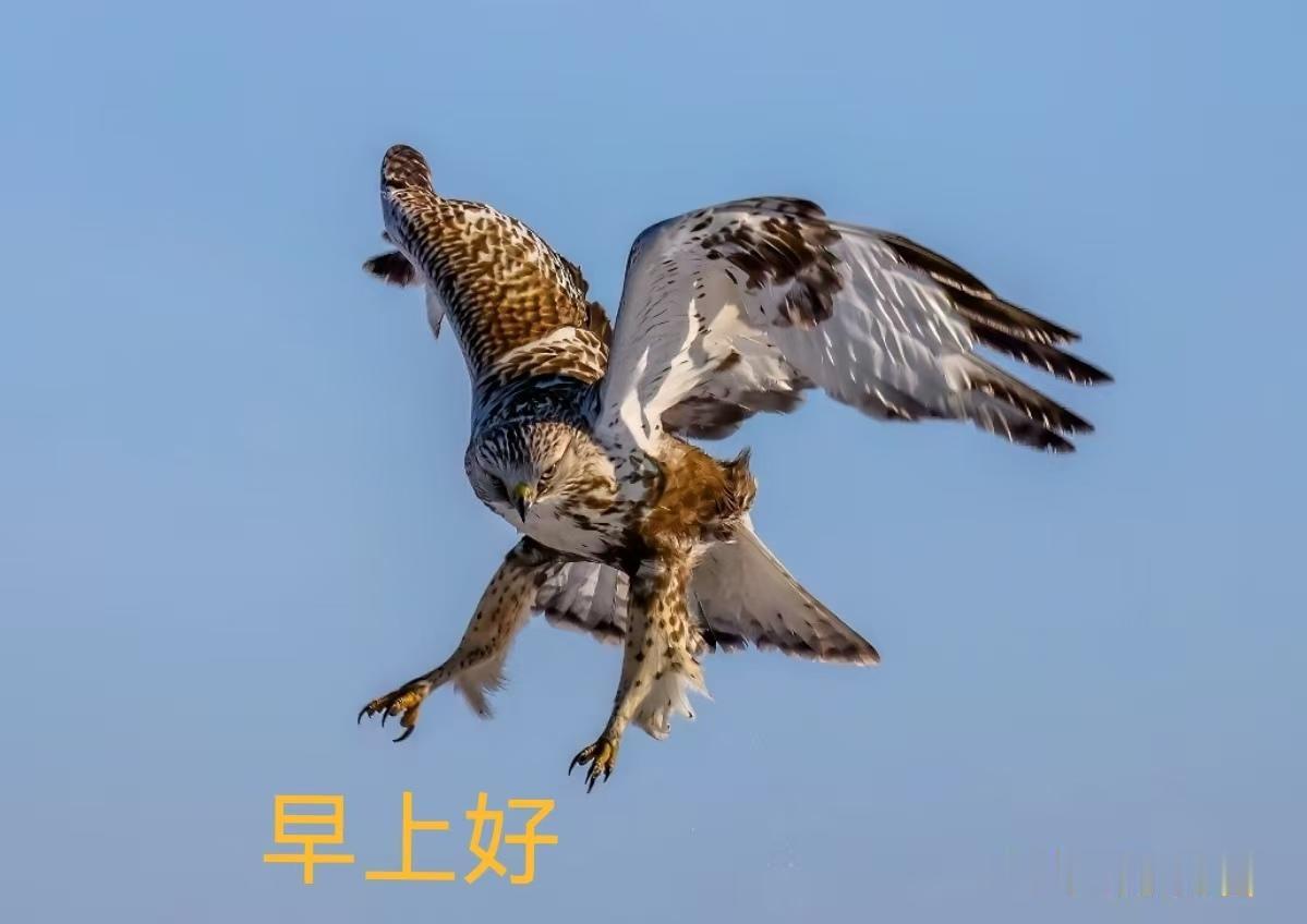 葫芦岛市10教师补课被处罚！一名老师，因为没有办理机构补课证办起了补习班，